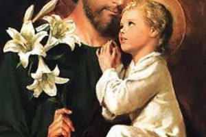 san jose portada web